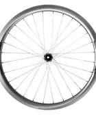 ecomposer-spokes-Berd-PolyLight-(White)