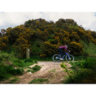 Gravel Ultra 700c Steel Spoke Carbon Wheelset