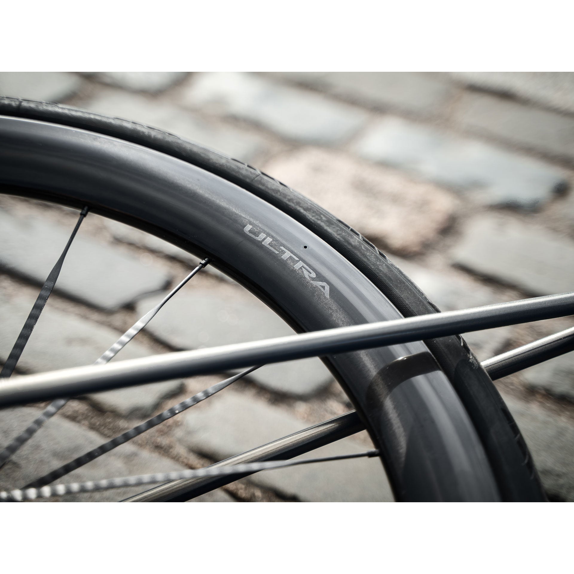 Élan Ultra 5 Disc Carbon Wheelset